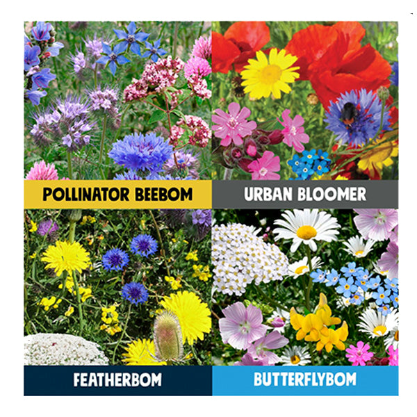 Kabloom wildflower plastic free seedbom birds bees and butterflies  Edit alt text
